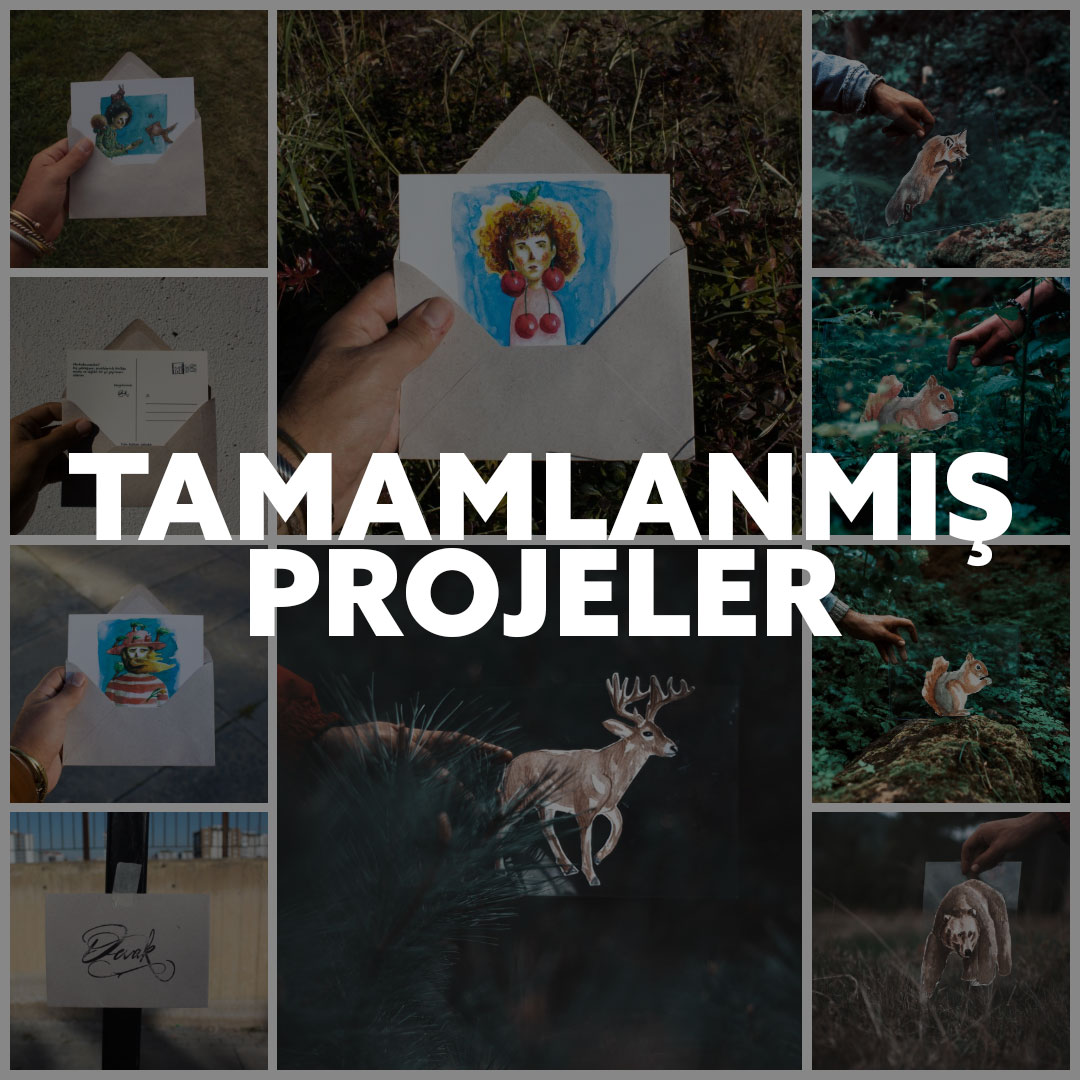 TAMAMLANMIŞ PROJELER